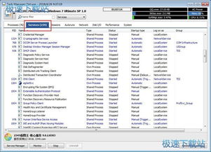 如何停止Task Manager Deluxe中的软件服务进程